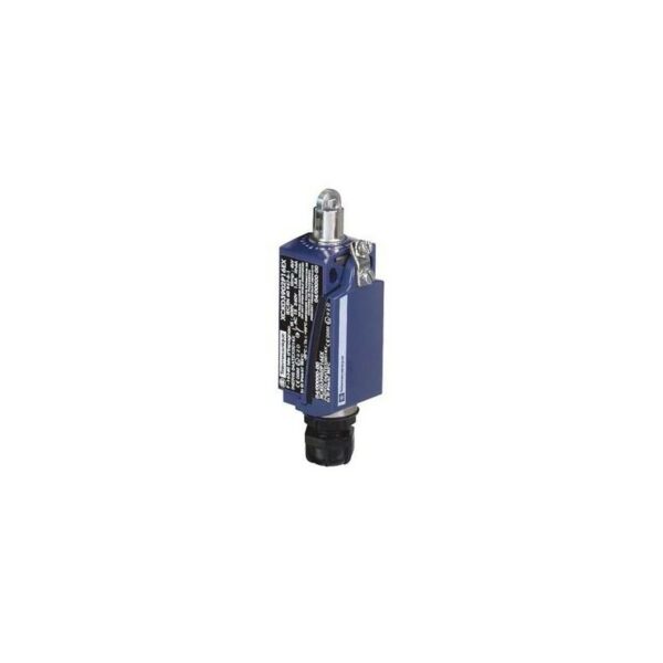 SCHNEIDER XCKD3902P16EX