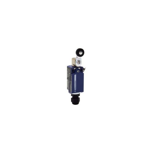 SCHNEIDER XCKD3918P16EX