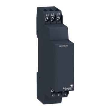 SCHNEIDER RM17TG00