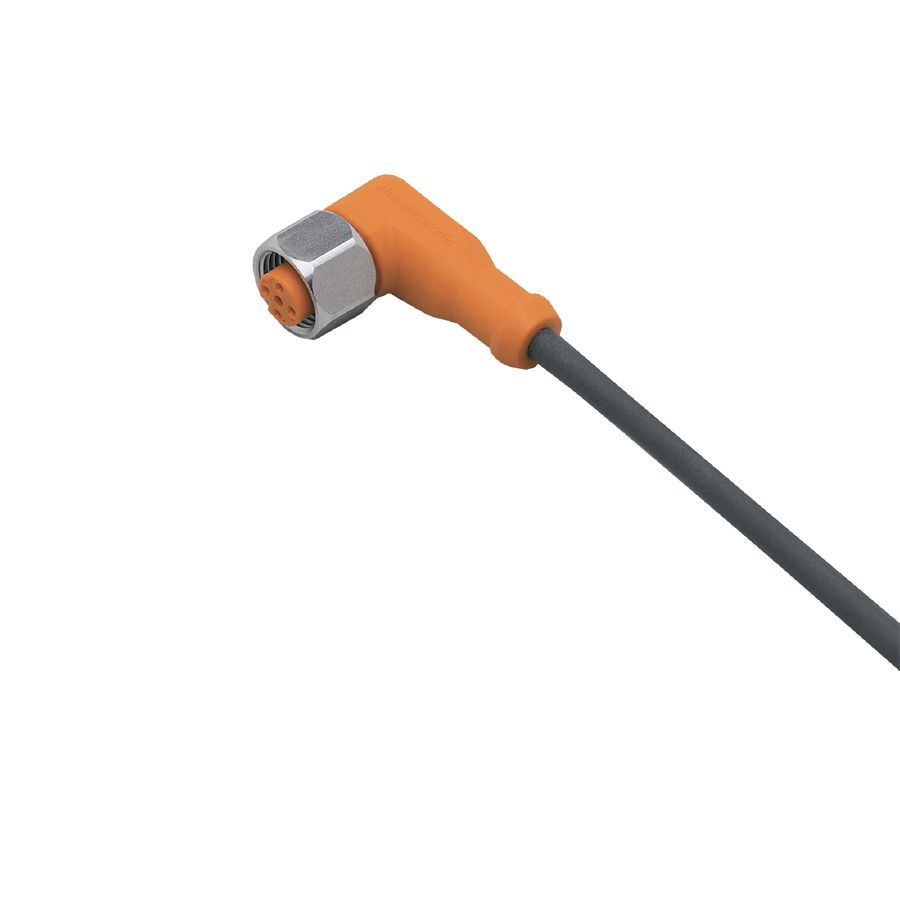 IFM_EVM004.jpg IFM EVM004