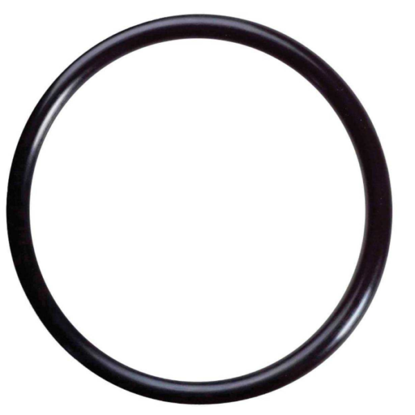 FP 4600ORING Ricambi meccanici