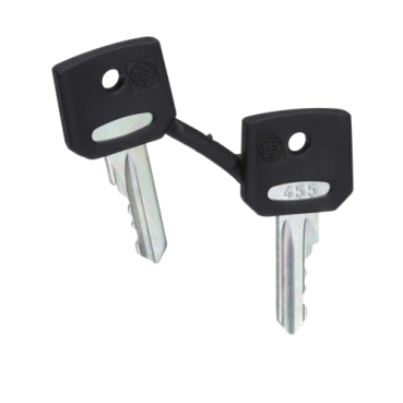 SCHNEIDER ZBG455 Ricambi elettrici e automazione