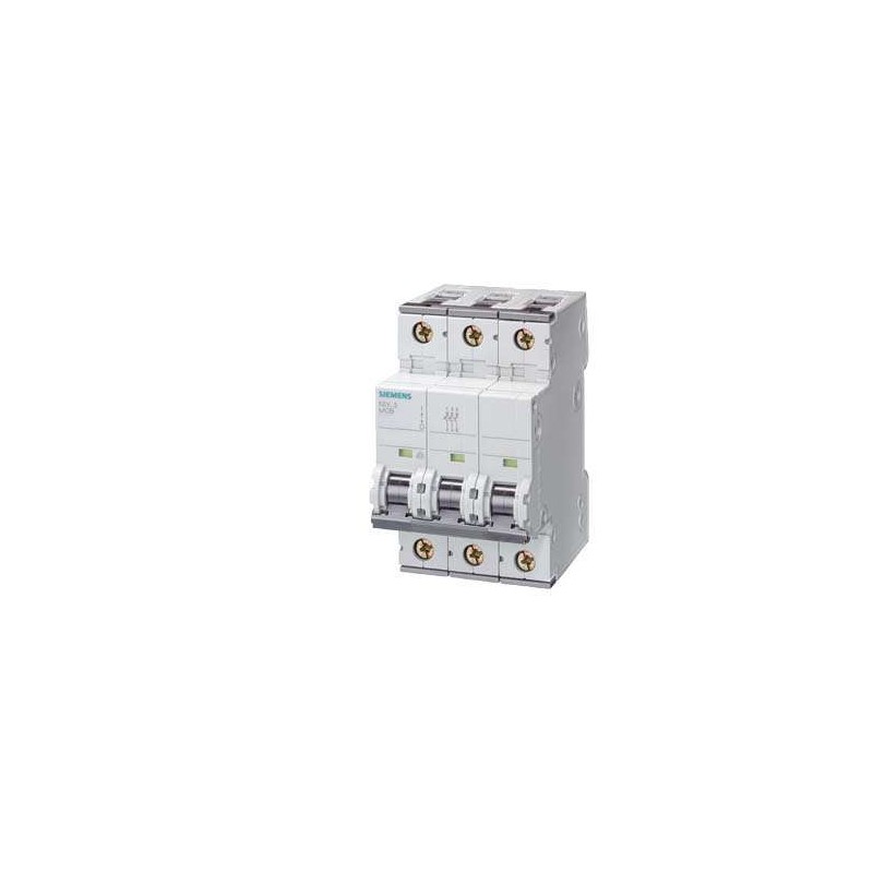 SIEMENS_5SY63067.jpg SIEMENS 5SY63067 Ricambi elettrici e automazione