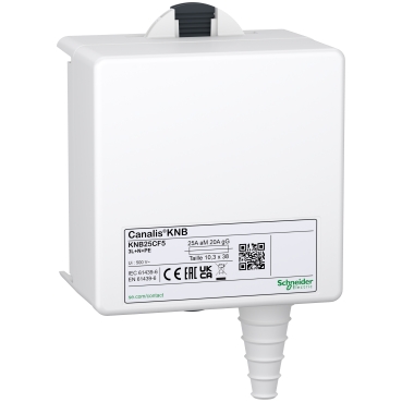 SCHNEIDER_KNB25CF5.jpg SCHNEIDER KNB25CF5 Ricambi elettrici e automazione